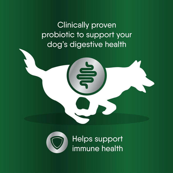 pre probiotic for dogs