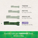 GREENIES Fresh Mint Large Dental Treats 8 count - Dog Dental Chews & Treats 9
