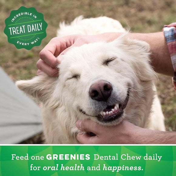 greenies dog dental treats