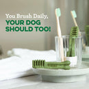 grain free greenies