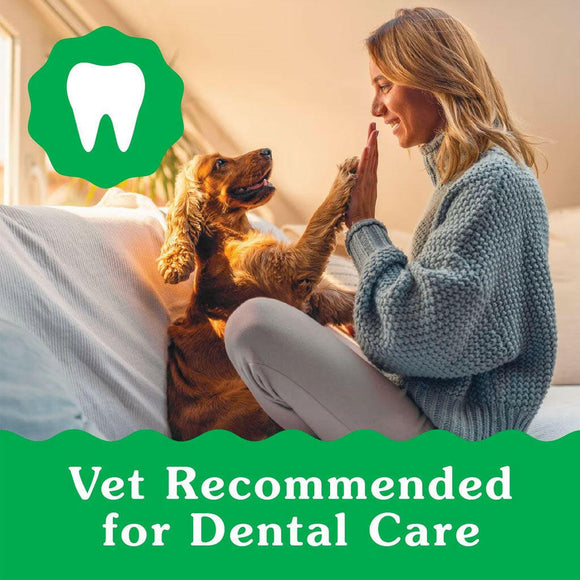 Greenies Petite vet recommend