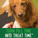 Greenies Pill Pockets Cheese Flavor Treats for Dogs, Capsule Size with dog