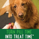 Greenies Pill Pockets Chicken Flavor Treats for Dogs, Tablet Size with dogs