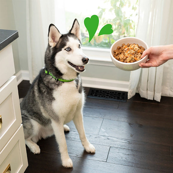 Greenies Smart Topper Chicken Beef Sweet Potatoes Potatoes & Spinach Recipe for Dogs 2-oz case of 10 - Dog Food Toppers