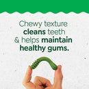Greenies Teenie Puppy features