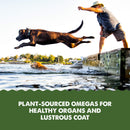 Grizzly Algal Plus Omega Fatty Acids Supplement