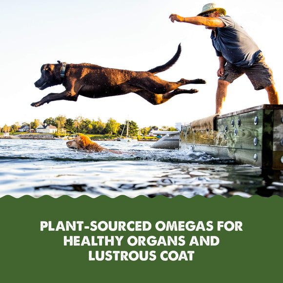 Grizzly Algal Plus Omega Fatty Acids Supplement