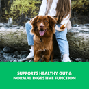 Grizzly Gut Health Liquid Supplement for Dogs & Cats - Supplements & Vitamins for Dogs & Cats 2