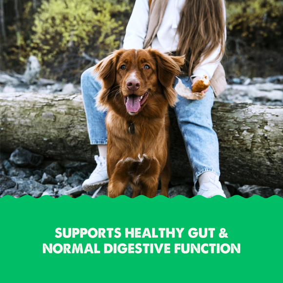 Grizzly Gut Health Liquid Supplement for Dogs & Cats - Supplements & Vitamins for Dogs & Cats 2