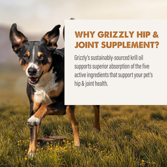 Grizzly Joint Aid Supplement For Dog - Dog Joint & Hip Supplements 7