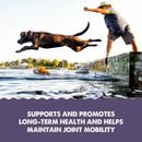 Grizzly Senior Supplement for Dogs & Cats 7+ Years .