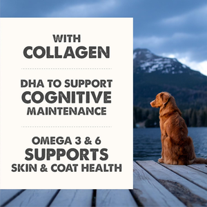 Grizzly Senior Supplement for Dogs & Cats 7+ Years .