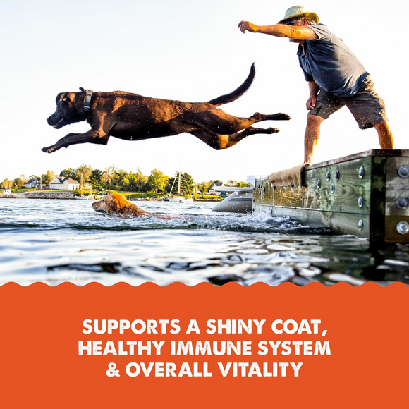 Grizzly Salmon Oil Omega Plus Supplement For Dogs - Dog Food 13