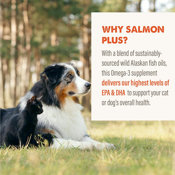 Grizzly Salmon Oil Omega Plus Supplement For Dogs - Dog Food 4