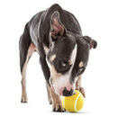 GURU Tennis Treat Holder Ball with Dog Playing