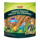 Hagen Living Spray Millet - 17.6-oz - Bird Treats 3