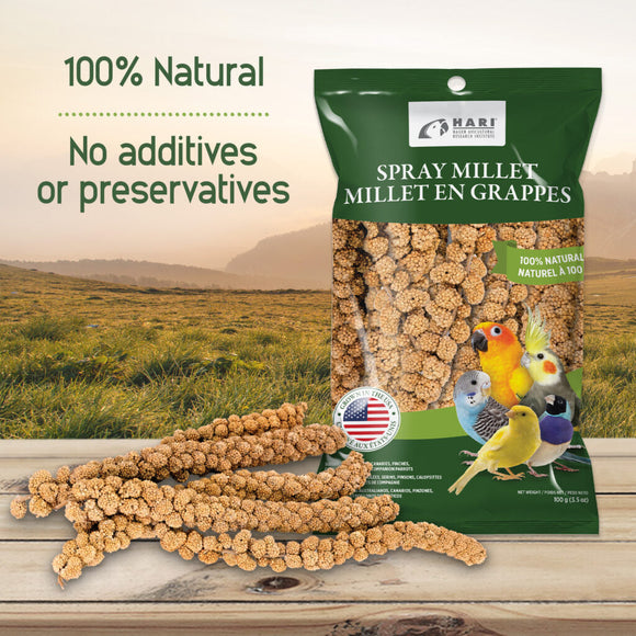 Hagen Living Spray Millet - Bird Treats 5