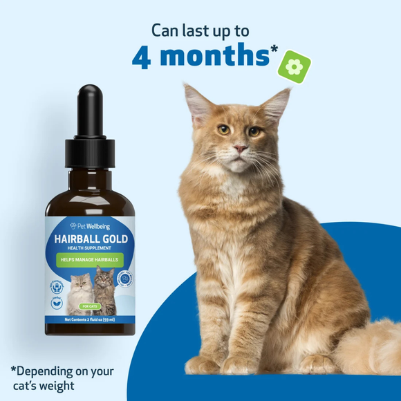 Hairball Gold- Help for Cat Hairballs - Cat Health Care & Wellness 12
