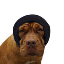 Happy Hoodie Calming Band For Dogs & Cats - Black / X-Large - Dog & Cat Accessories 18