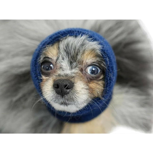 Happy Hoodie Calming Band For Dogs & Cats - Blue / X-Small - Dog & Cat Accessories 8