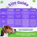 Happy Hoodie Calming Cap For Dogs PURPLE -2 pack ( 1 large 1 small)
