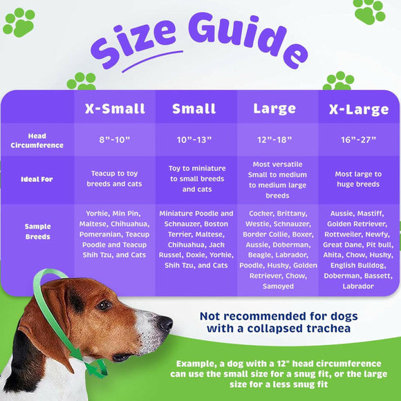 Happy Hoodie Calming Cap For Dogs PURPLE -2 pack ( 1 large 1 small)