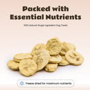 Happy Olly Happy Olly Freeze Dried Banana Slices- Single Ingredient Dog Treats 2-oz - Dog Treats & Chews 7