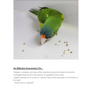 Harrison’s Bird Foods Adult Lifetime Fine Organic Pellet Food for Small to Medium Birds - Bird Food 7