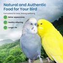 Harrison’s Bird Foods Adult Lifetime Mash Organic Powder Bird Food 1-lb - Bird Food 4