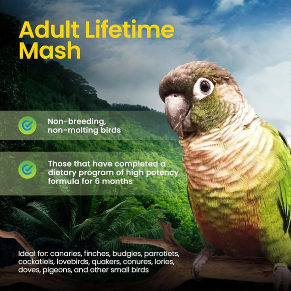 Harrison’s Bird Foods Adult Lifetime Mash Organic Powder Bird Food 1-lb - Bird Food 2