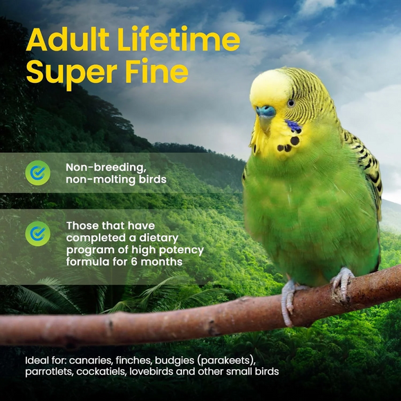 Harrison’s Bird Foods Adult Lifetime Super Fine Organic Pellet Food for Small Birds 1-lb - Bird Food 2