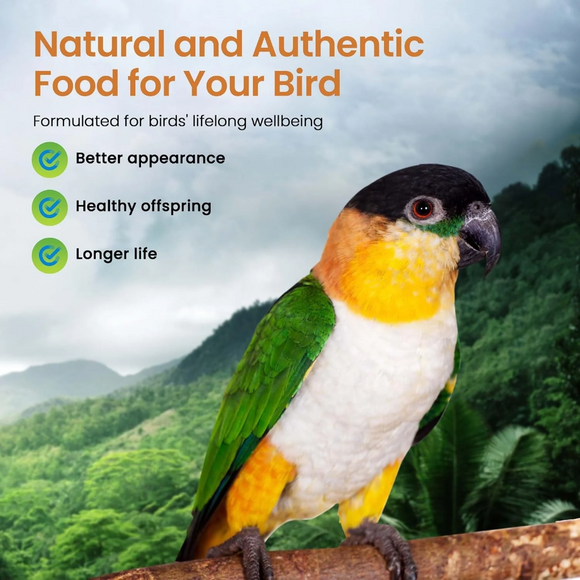 Harrison’s Bird Foods High Potency Coarse Organic Pellet Food for Medium to Large Birds - Bird Food 5