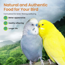 Harrison’s Bird Foods High Potency Mash Organic Powder Bird Food 1-lb - Bird Food 4