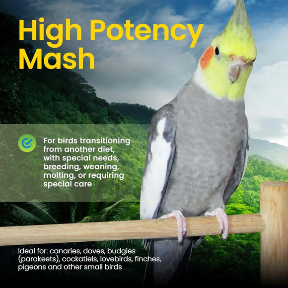Harrison’s Bird Foods High Potency Mash Organic Powder Bird Food 1-lb - Bird Food 2