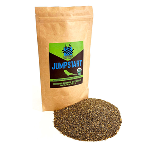 Harrison’s Bird Foods Jumpstart Grey Millet Bird Food 16-oz - Bird Food 1