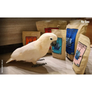 Harrison’s Bird Foods Juvenile Hand-Feeding Organic Powder Bird Food - Bird Food 4