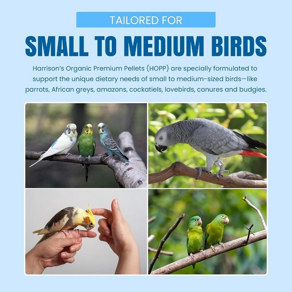 Harrison’s Bird Foods Organic Premium Pellets Bird Food - Bird Food 6