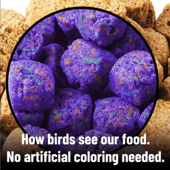 Harrison’s Bird Foods Power Treats Organic Pellet Bird Treats - Bird Food 4