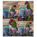 Harrison’s Fauna Flora Nutritional Supplement for Birds and All Animals 2-oz - Bird Supplement 2