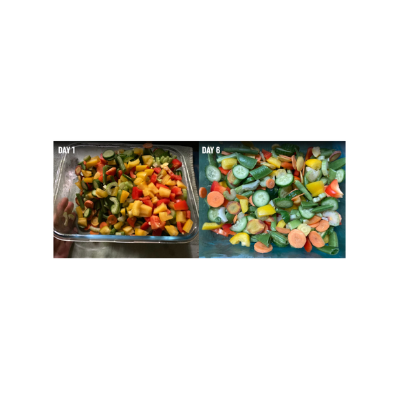Harrison’s Stay Fresh Food Preserver 8.2g - Preservatives 4
