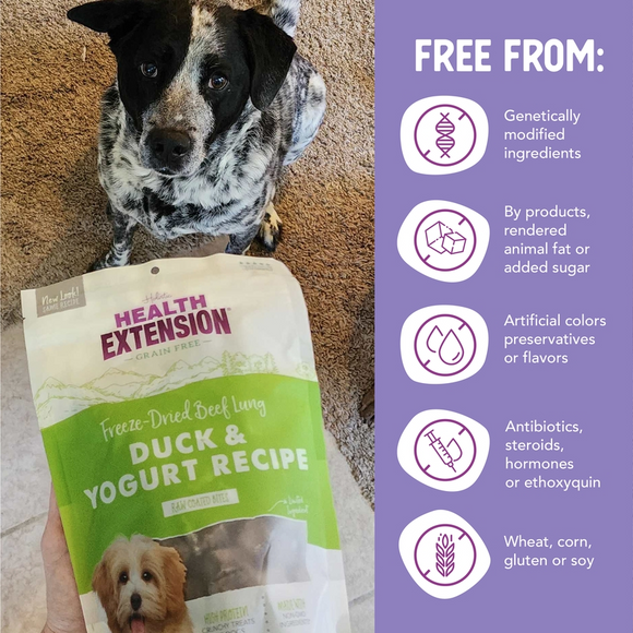 Health Extension Bully Puffs Duck & Yogurt Dog Treats (5 oz) - Soft & Chewy Dog Treats 5