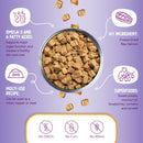 Health Extension Freeze-Dried Raw Mixer-Topper-Treat Salmon Recipe for Dogs