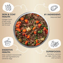 Health Extension Gently Cooked in Broth Beef & Potato Recipe Pouches for Dogs