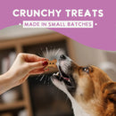 Health Extension Grain Free Lamb Dog Treats (6 oz) - Dog Biscuits & Crunchy Treats 4