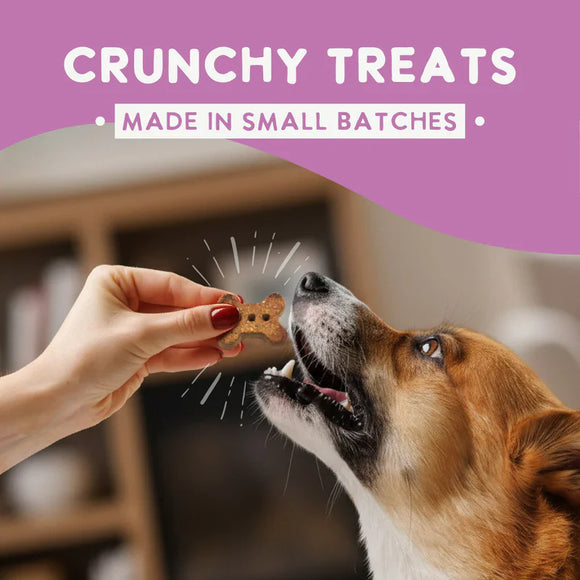 Health Extension Grain Free Lamb Dog Treats (6 oz) - Dog Biscuits & Crunchy Treats 4