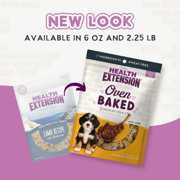 Health Extension Grain Free Lamb Dog Treats (6 oz) - Dog Biscuits & Crunchy Treats 3