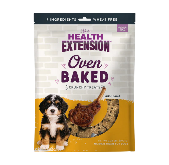 Health Extension Grain Free Lamb Dog Treats (6 oz) - Dog Biscuits & Crunchy Treats 1