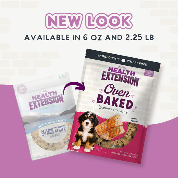 Health Extension Grain Free Salmon Dog Treats - Dog Biscuits & Crunchy Treats 2