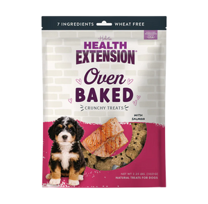 Health Extension Grain Free Salmon Dog Treats - Dog Biscuits & Crunchy Treats 1