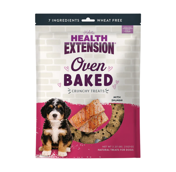 Health Extension Grain Free Salmon Dog Treats - Dog Biscuits & Crunchy Treats 1